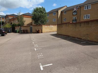 Picture 6